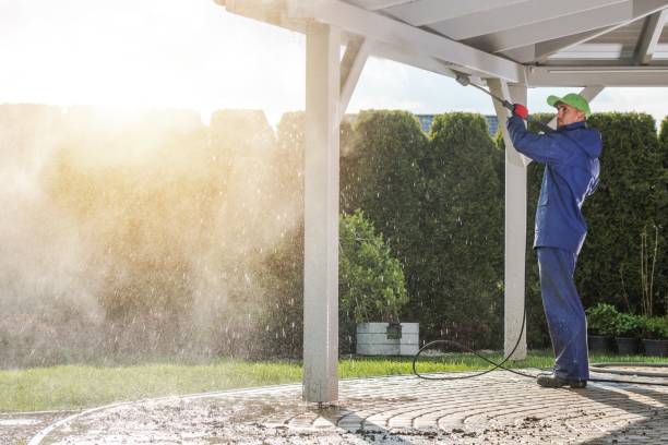 Pre-Holiday Cleaning in Burwell, NE